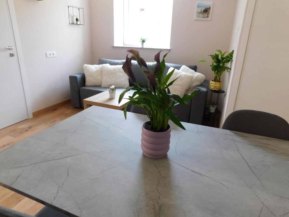 Hisa Limoni Apartment Koper Ngoại thất bức ảnh